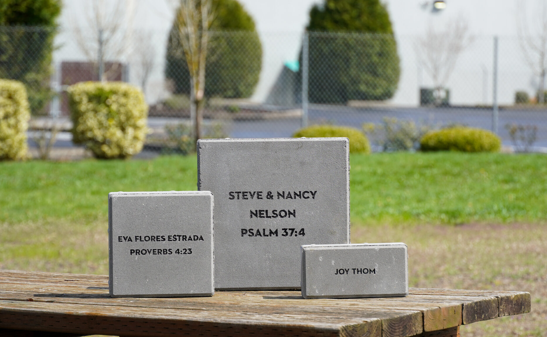 Bricks 3